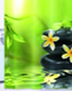 

Штора для ванной комнаты IDDIS, 680P18Ri11 Spa Therapy 200х180 см