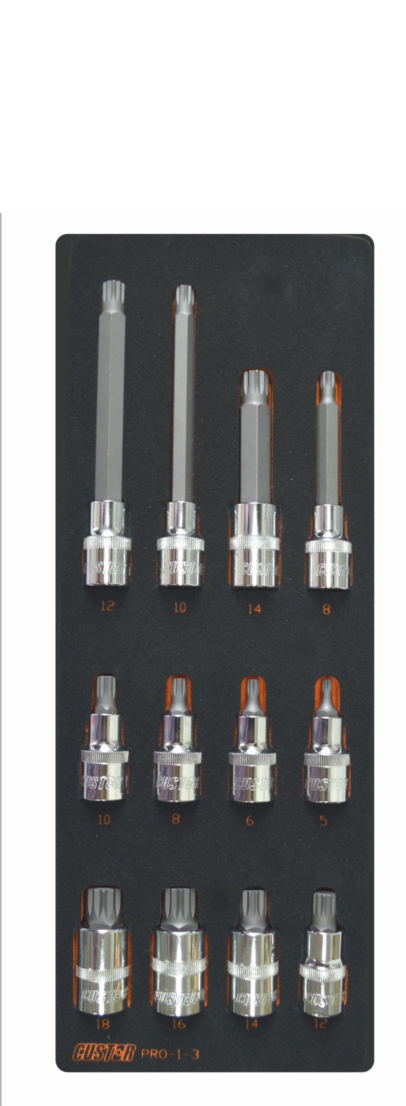 

Набор бит CUSTOR, SPLINE 1/2'' М5-М18 (PRO-1-3)