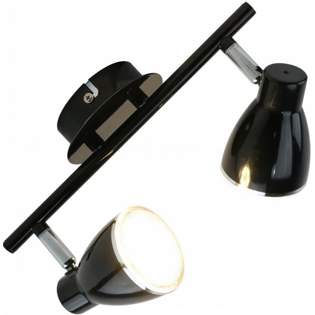 

Светильник потолочный ARTE LAMP, A6008PL-2BK