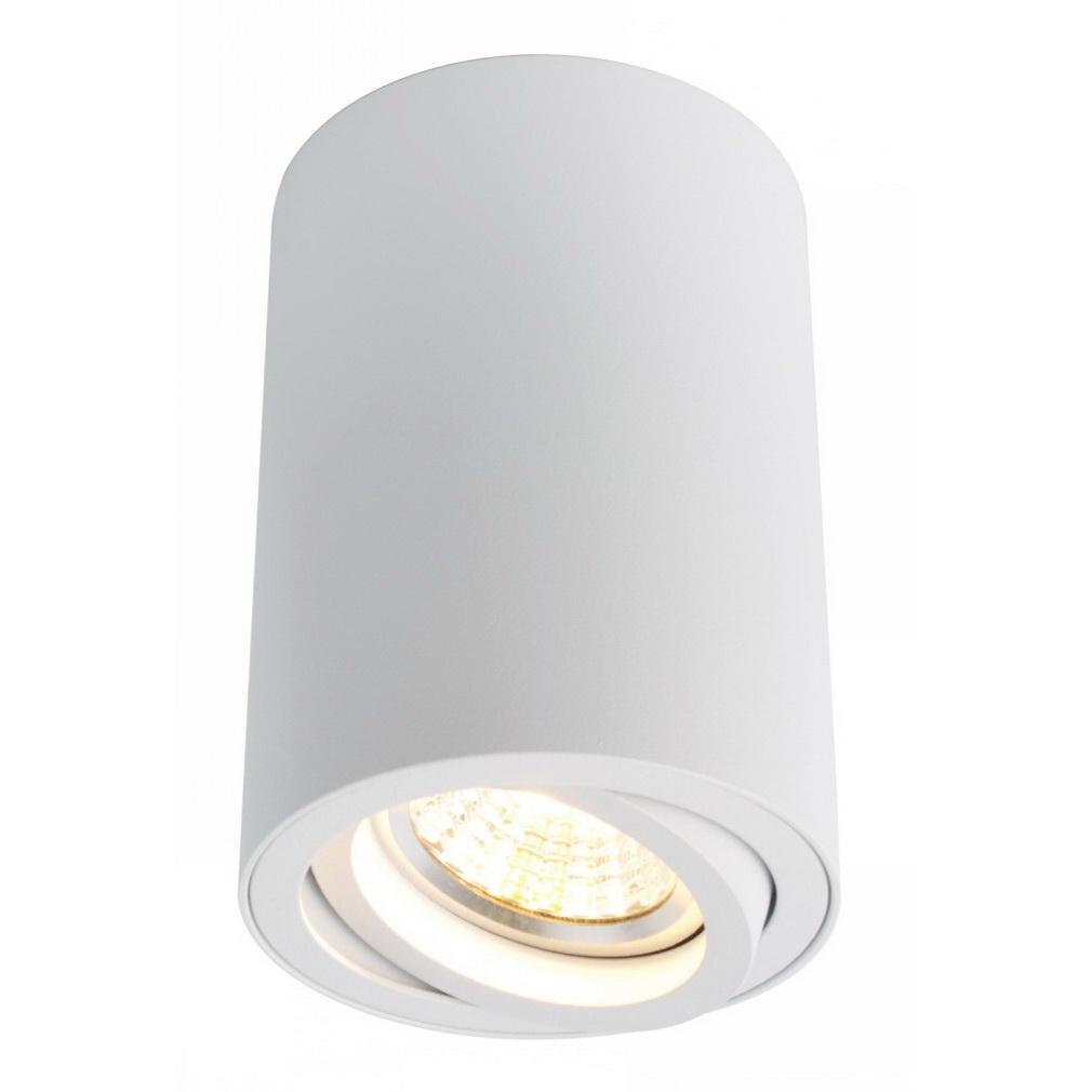

Светильник ARTE LAMP, A1560PL-1WH Sentry