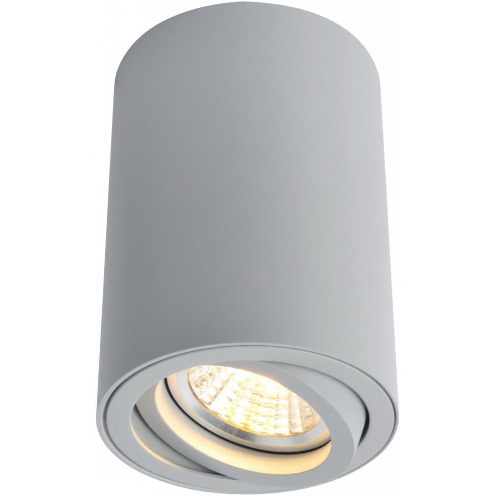 

Светильник ARTE LAMP, A1560PL-1GY Sentry