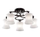 ������ LUMION 2439/5C
