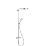   HANSGROHE Raindance Select S 240 2jet Showerpipe 27129400