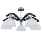 Люстра LAMPLANDIA 3636-5 Astra