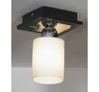 Изображение товара Встраиваемый светильник LUSSOLE LSF-6117-01 40Вт металл стекло модерн хром венге