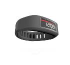 Браслет спортивный GARMIN Vivofit Slate Bundle