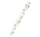 Изображение товара Световая лента GENILED GL-60SMD5050WW
