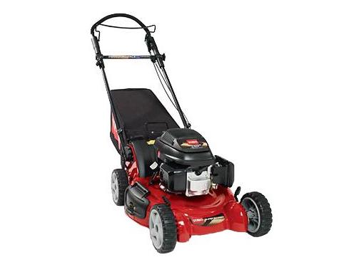   TORO 20192