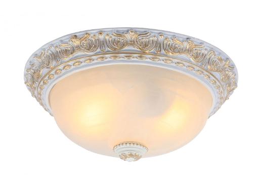 Изображение товара Светильник настенно-потолочный ARTE LAMP A7121PL-2WG