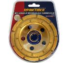 Чашка шлифовальная ПРАКТИКА Ф125х22мм по бетону (030-948 CW-125-22-2)