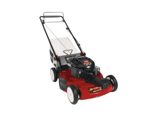   TORO 20331