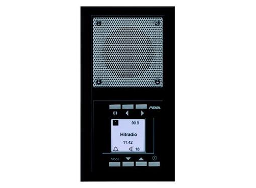Изображение товара Радио PEHA Aura P174813