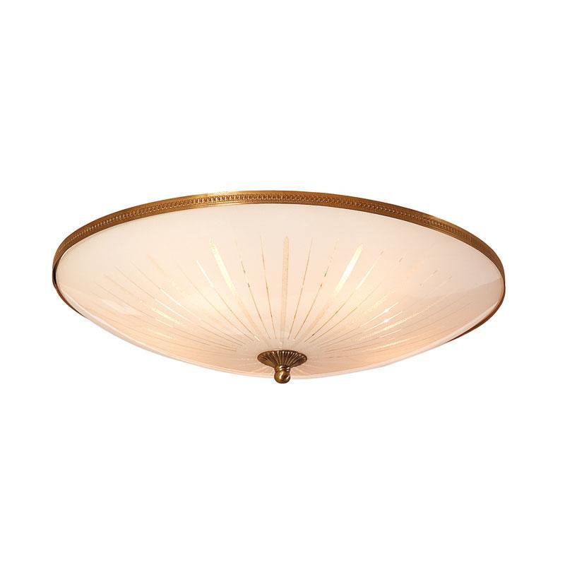 

Светильник настенно-потолочный Citilux Cl912501