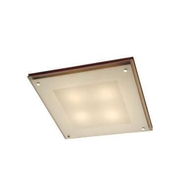 

Светильник настенно-потолочный Citilux Cl938541