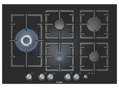    BOSCH PPS816M91E (2000002997)