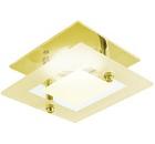   TDM SQ0359-0017  05-01 MR16 50 G5.3 