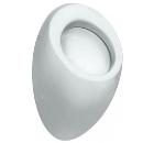 Писсуар LAUFEN 4097.5.400.400.1 Alessi