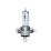 CELEN 23243 CT
