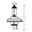  CELEN 23243 CT