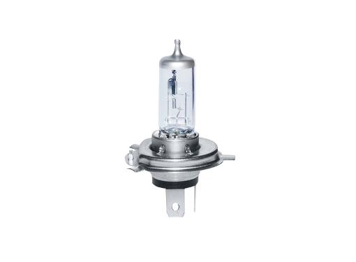  CELEN 23243 CT