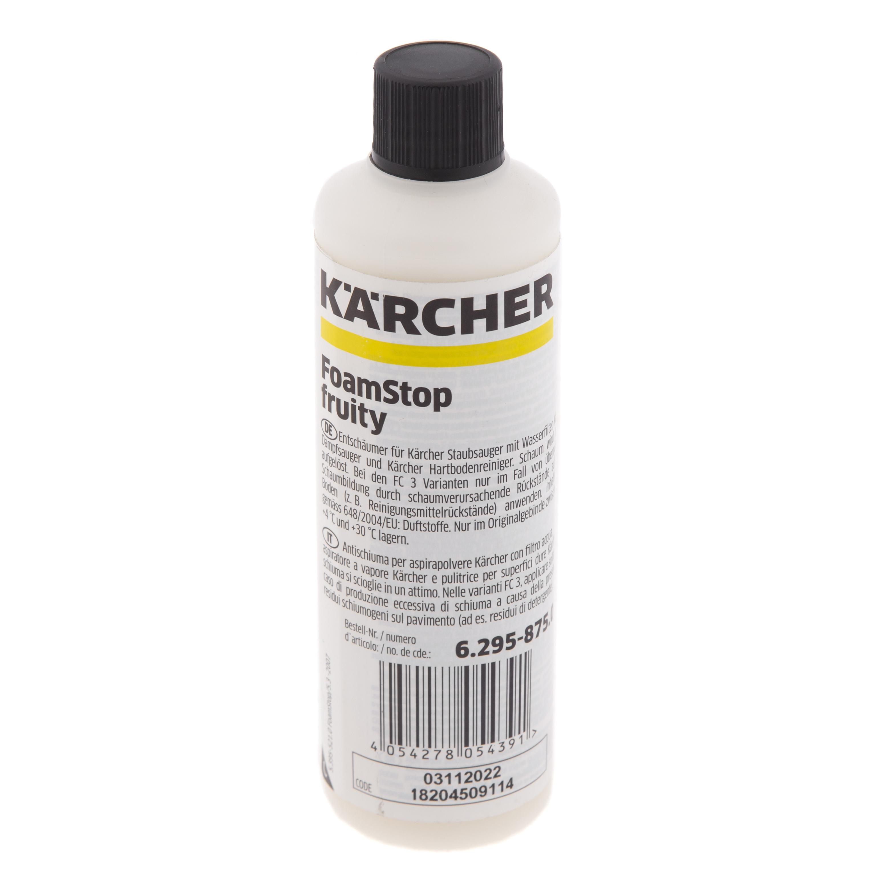 цены Пеногаситель Karcher 6.295-875