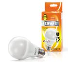   ECOWATT A60 230 9(75)W 2700K E27