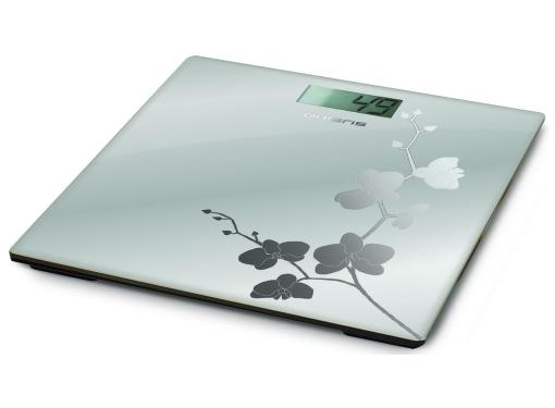   POLARIS PWS 1845DG Mirror