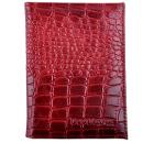 �������� ��� �������������� � �������� SHIK Pr(L)K-3-red