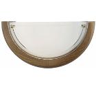 Светильник настенный EGLO UFO 3893