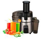 Соковыжималка CENTEK CT-1206