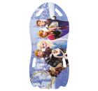 Ледянка DISNEY Т57258