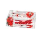 Мыльница пластиковая VERRAN Vermilion 880-20, прозрачная