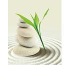     VANSTORE 620-17 180180 