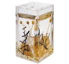 Настольный стакан VANSTORE Aurum 384-02  для зубных щёток