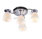  NATALI KOVALTSEVA 10396/4C CHROME