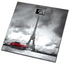 Весы напольные ENDEVER FS-542