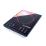 ������ ������������� ENDEVER IP-31