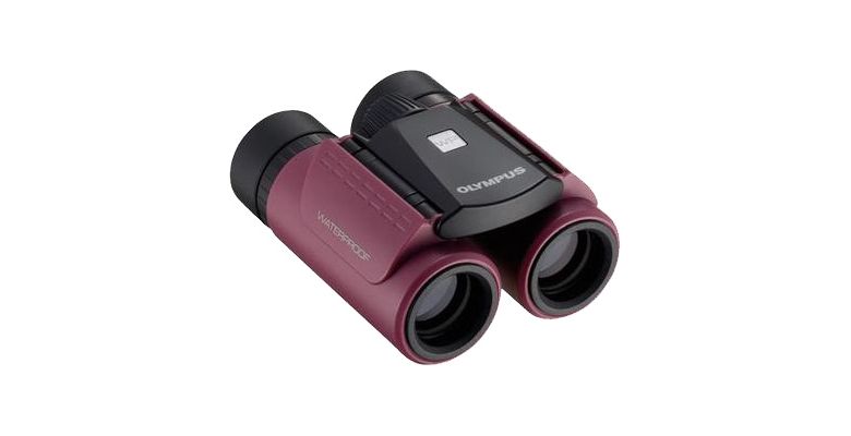 ������� OLYMPUS RCII WP 8x21 ���������