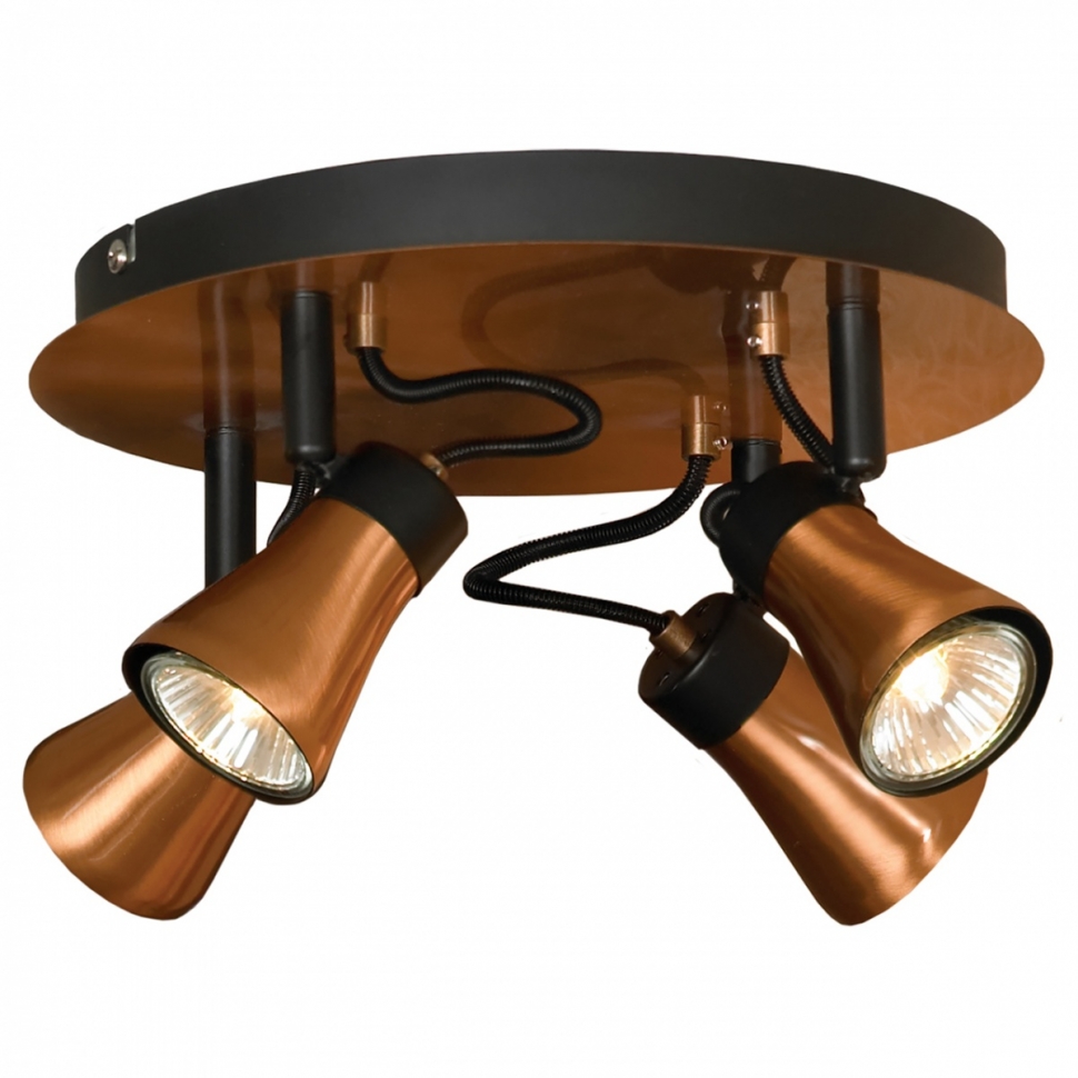 

Спот Loft Lsl-6801-04