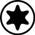 T (Torx)