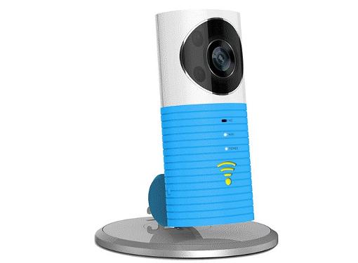   IVUE DOG-1W-BLUE