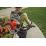   STIHL BR 200