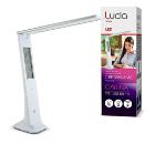 Лампа настольная ЛЮЧИЯ L540 Carina