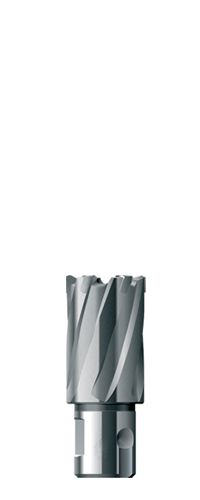 

Фреза Fe powertools Fe3041