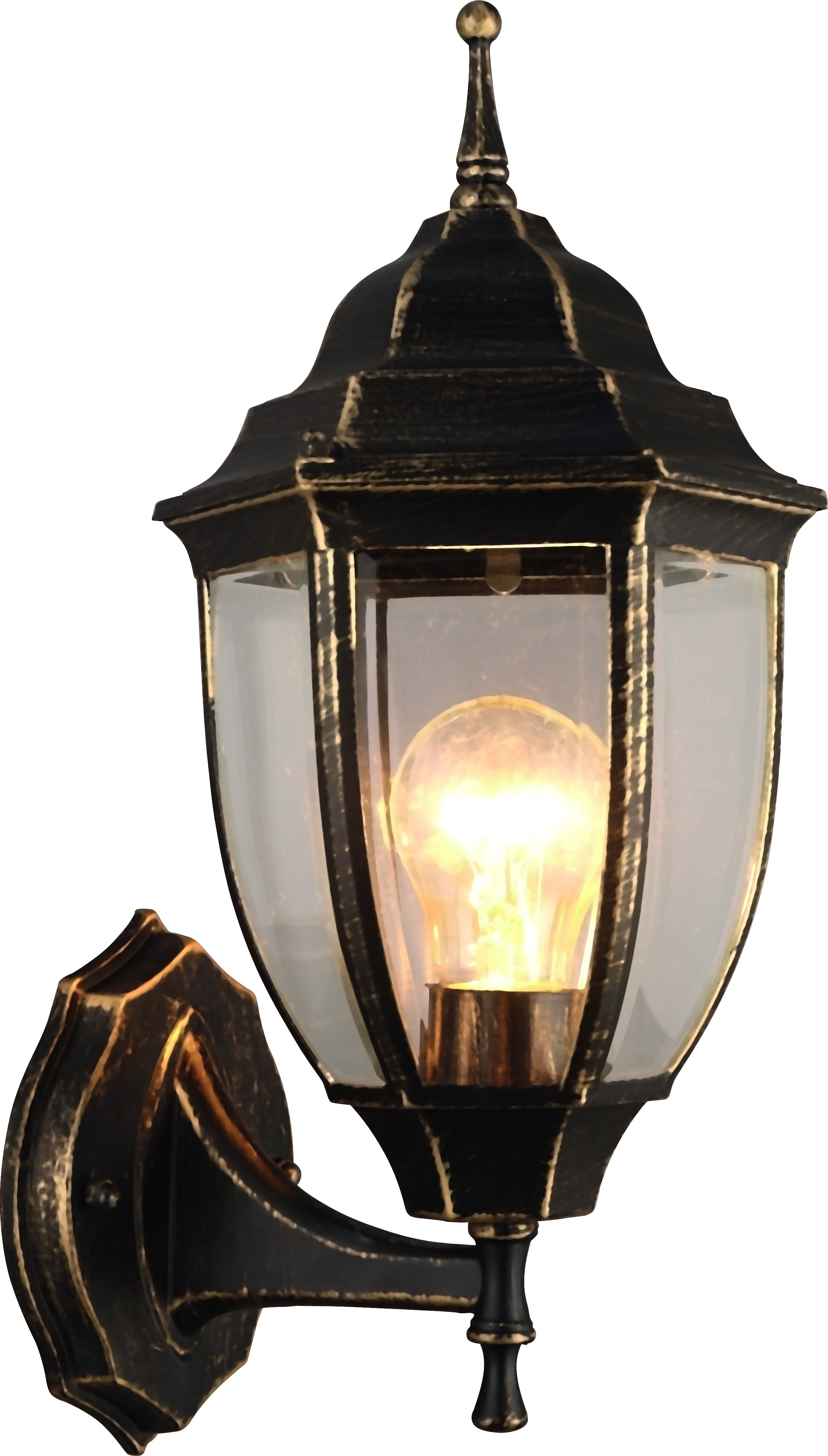 фото Светильник уличный arte lamp a3151al-1bn