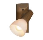 Спот COLOSEO 71003/1