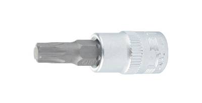 - STELS Torx T30 1/4" (13806)