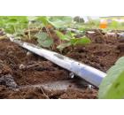 Набор GARDEN DREAMS Теплица 4.5м 32 растения