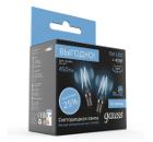   GAUSS LED Filament Globe 105802205P