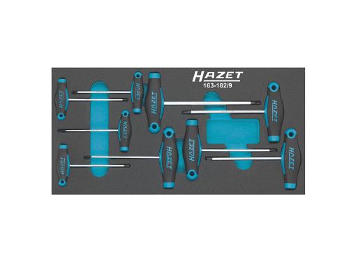   HAZET 163-182/9 Torx